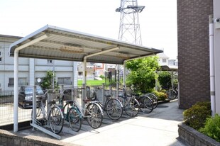 金剛駅 徒歩5分 1階の物件内観写真